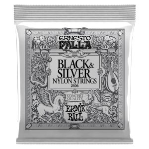 Ernie Ball EB2406