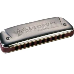 Hohner Golden Melody 542/20 D