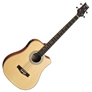 Dynacord Corus Evolution C15.2